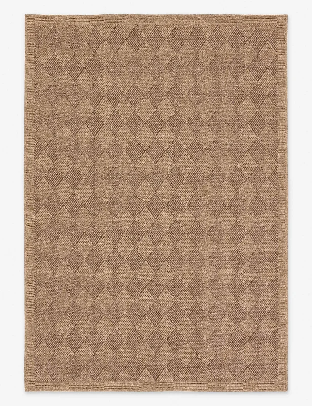 bright carpet for modern apartment-Adisa Indoor / Outdoor Rug