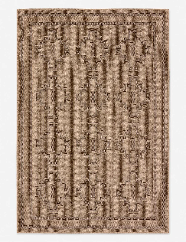 carpet runners for entryway protection-Tarina Indoor / Outdoor Rug