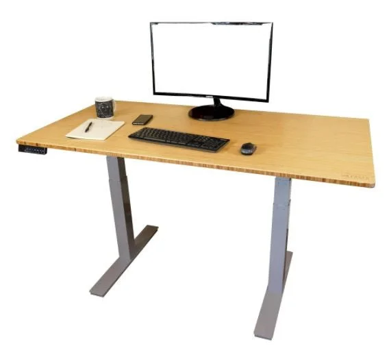 stylish wooden office desk-Gray and Natural Bamboo 52" Dual Motor Electric Office Adjustable Computer Desk