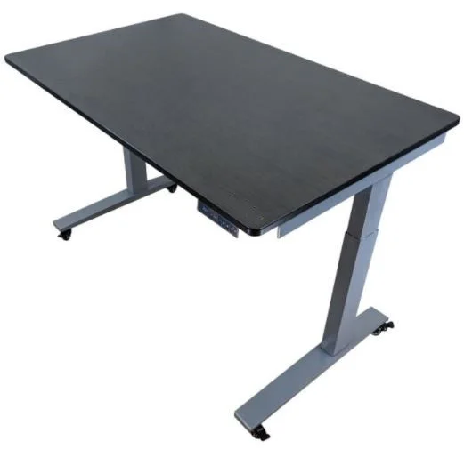 modern sleek home office desk-Premier 45" Gray Dual Motor Electric Office Adjustable Standing Desk