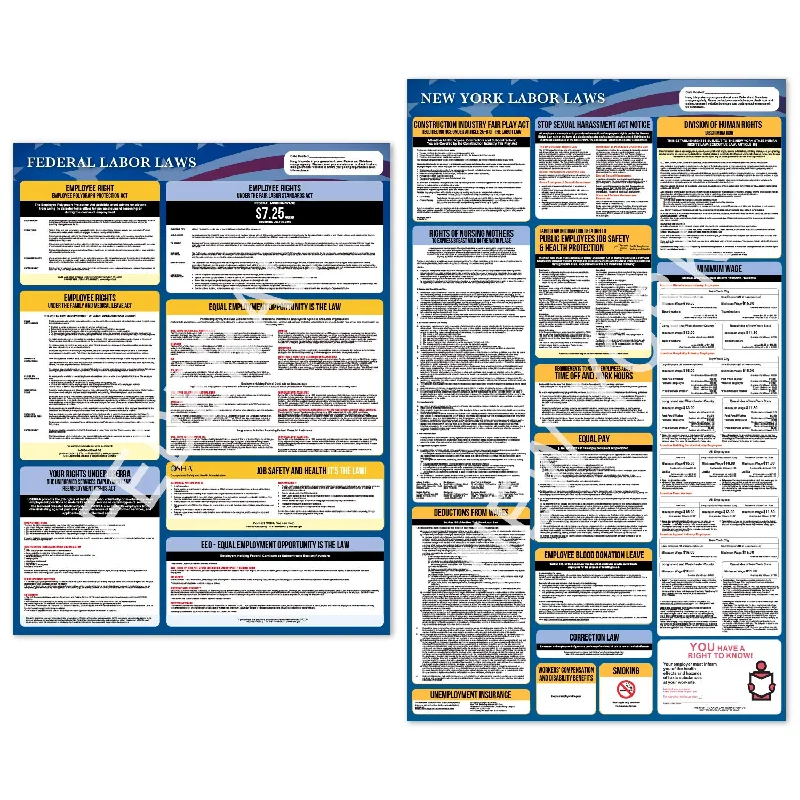 office supplies for HR departments-2021 New York Labor Law Posters - 2 Large State and Federal All-in-One Posters. New York