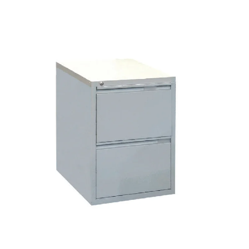 wood and metal combination filing cabinet -Godrej Filing Cabinet 2 Drawer 677 x 464 x 620mm